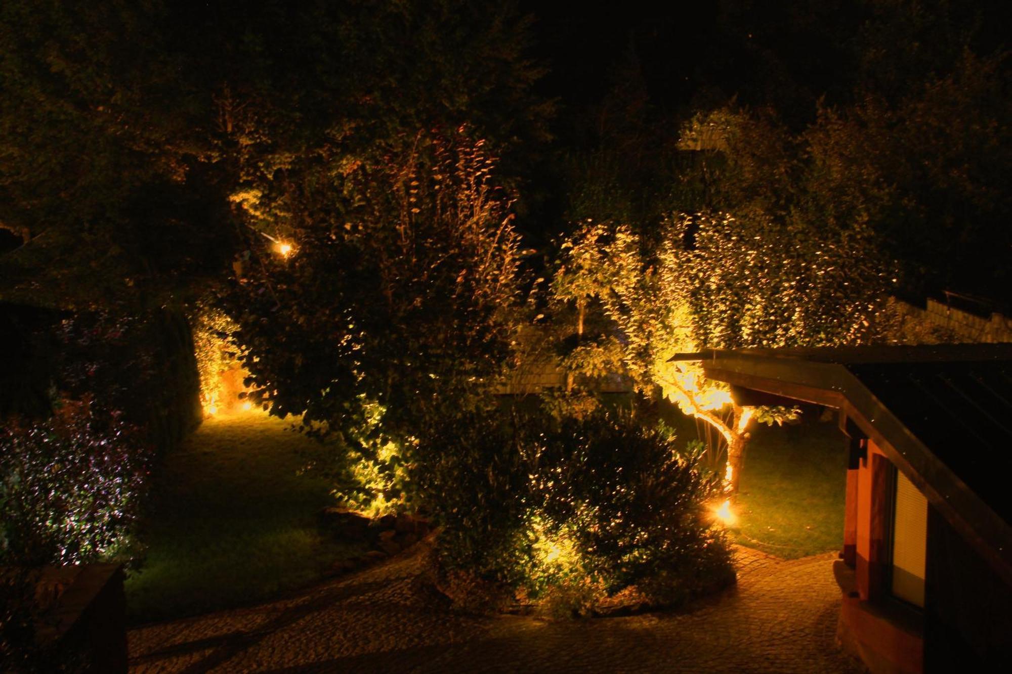Ferienwohnung Altschloss Eppenbrunn Екстер'єр фото